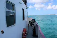 பல்நோக்கு விற்பனைக்கு