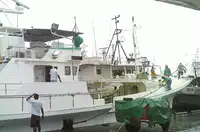 நீளமான கப்பல் விற்பனைக்கு